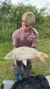 Koï Fish