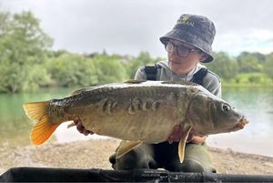 Mirror Carp