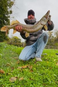 Northern Pike