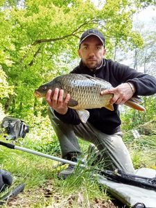 Carpes