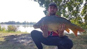Mirror Carp