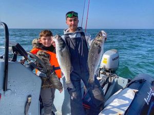 European Bass (Seabass)