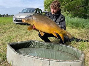 Mirror Carp