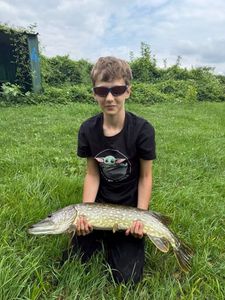 Northern Pike