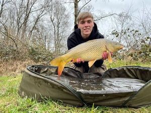Common Carp