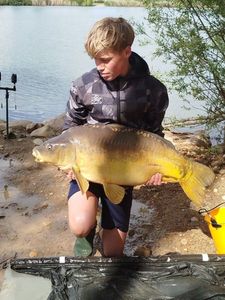 Mirror Carp