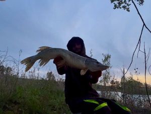 Northern Pike