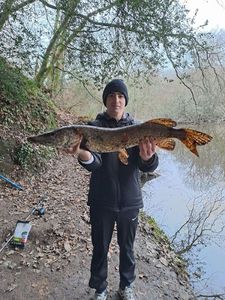 Northern Pike