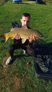 Common Carp