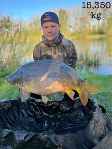 Mirror Carp