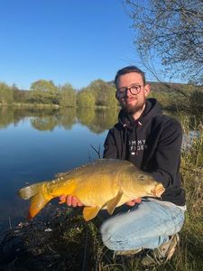 Mirror Carp