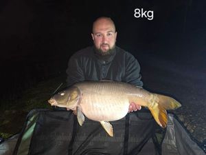 Mirror Carp