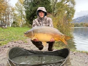 Mirror Carp