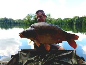 Mirror Carp