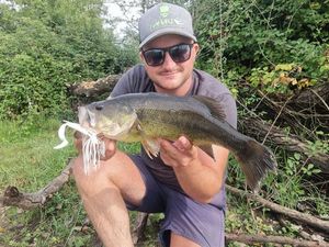 Largemouth Bass