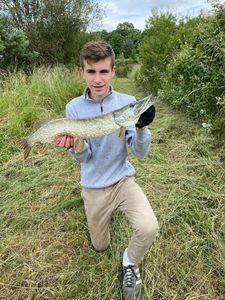 Northern Pike