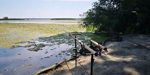 Tisza tó 