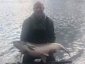 Grass Carp