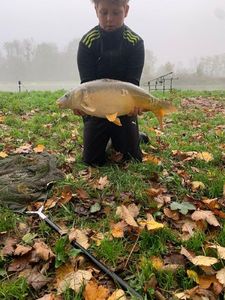 Mirror Carp