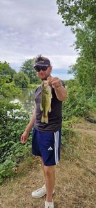 Largemouth Bass