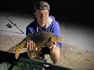 Mirror Carp