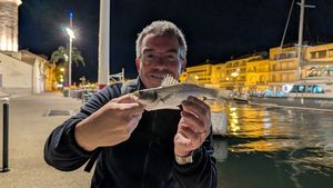 European Bass (Seabass)
