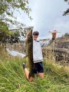 Northern Pike