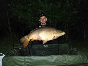 Leather Carp