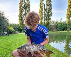 Common Carp