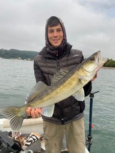 Zander