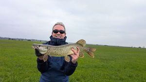 Northern Pike