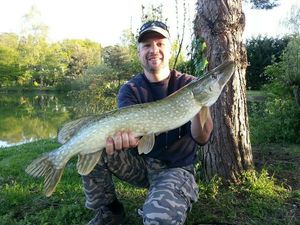 Northern Pike