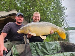 Mirror Carp