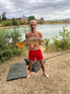 Common Carp
