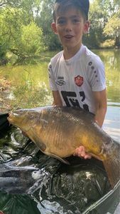 Mirror Carp
