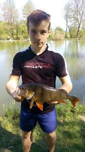 European Perch