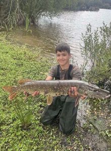 Northern Pike