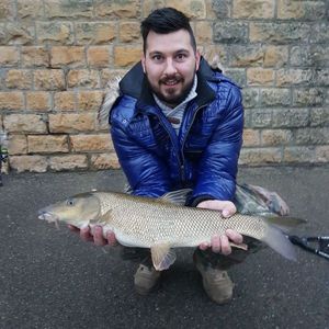 Barbel