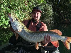 Northern Pike