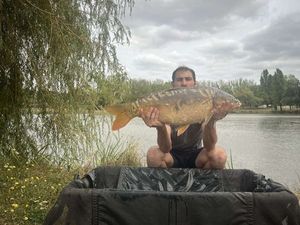 Mirror Carp