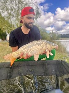 Mirror Carp