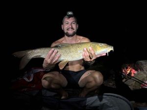 Barbel