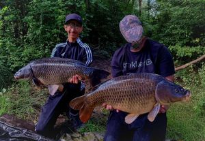 Common Carp