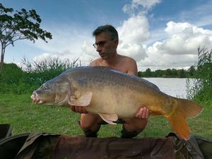 Leather Carp