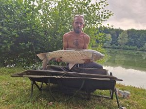 Grass Carp