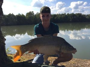 Mirror Carp