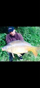 Mirror Carp