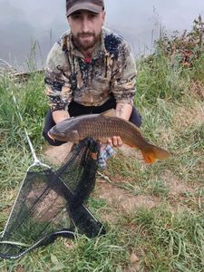 Common Carp