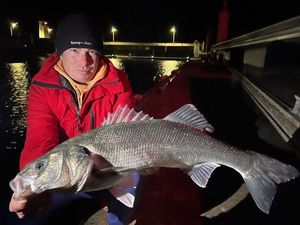 European Bass (Seabass)