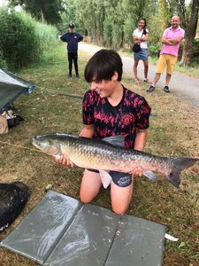 Grass Carp